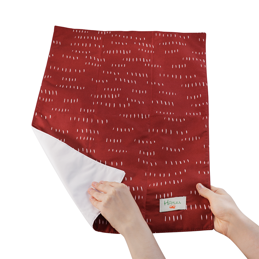 King Crimson 2025 - Changing Mat